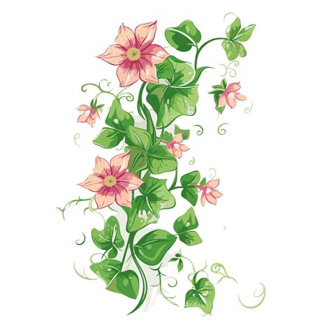 Flower Vine Vector Sticker Clipart Ivy Vine With Pink Flowers And