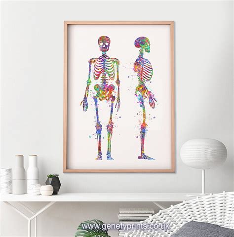 Torso Skeleton Watercolor Art Print Human Skeleton Torso Etsy