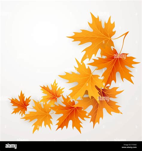 Autumn Maples Falling Leaves Background Stock Vector Image And Art Alamy