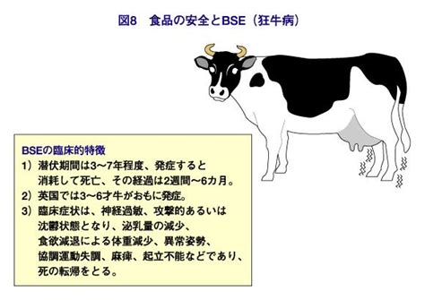 Bovine spongiform encephalopathy, also known as mad cow disease, a neurodegenerative disease of cattle. 農芸化学という学問と社会