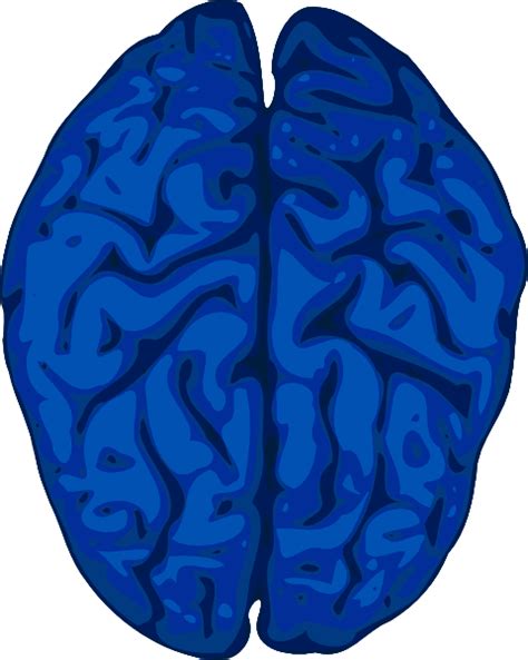 Blue Brain Clip Art At Vector Clip Art Online Royalty Free