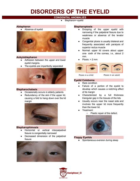 Solution Disorders Of The Eyelid Congenital Anomalies Of Eyelid