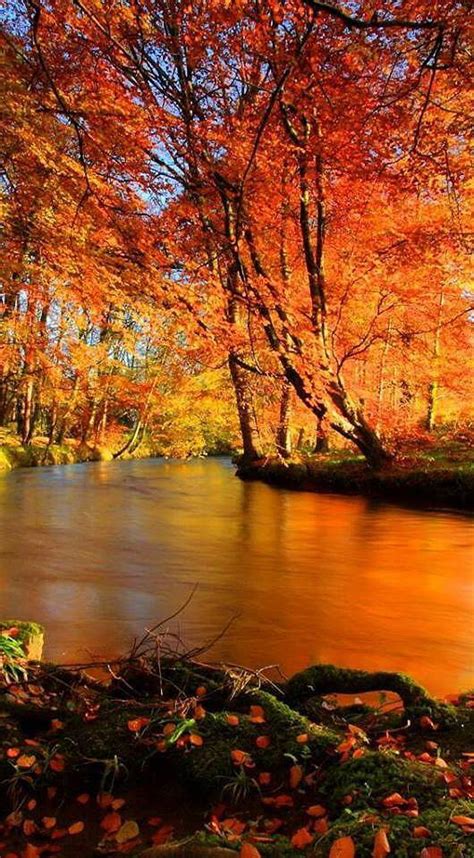 Scenic Views Beautiful Landscapes Autumn Scenery Fall Pictures