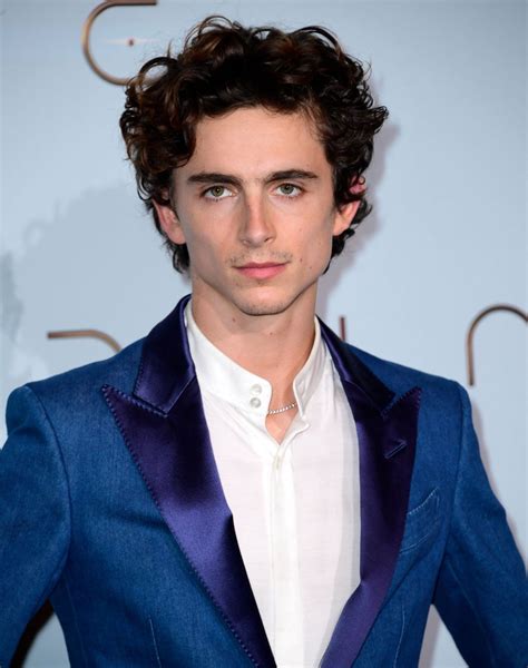 Timothee Chalamet Movies Dune Sister And Call Me By Your Name