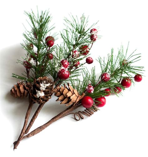 Christmas Pine Branches With Berries Stock Image Image Of Cones