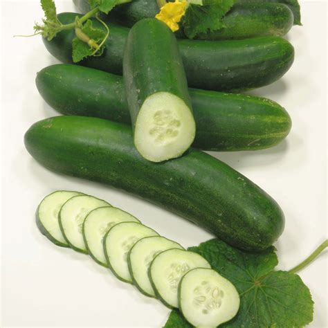 8 Health Facts Cucumber Fruit Healthy Ways For Life