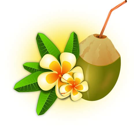 100 Free Kelapa And Coconut Vectors Pixabay