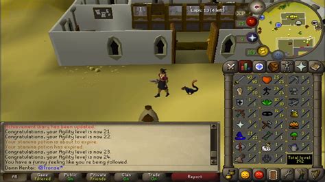 Runescape 2007 Agility Squirrel Pet With 24 Agility On Alt Account