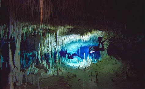 Scientists Find Underwater Wonders In Yucatan Peninsula