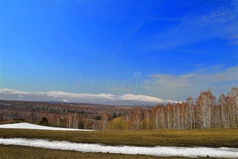 Early Spring Landscape Stock Image Image Of March Fresh 35432011