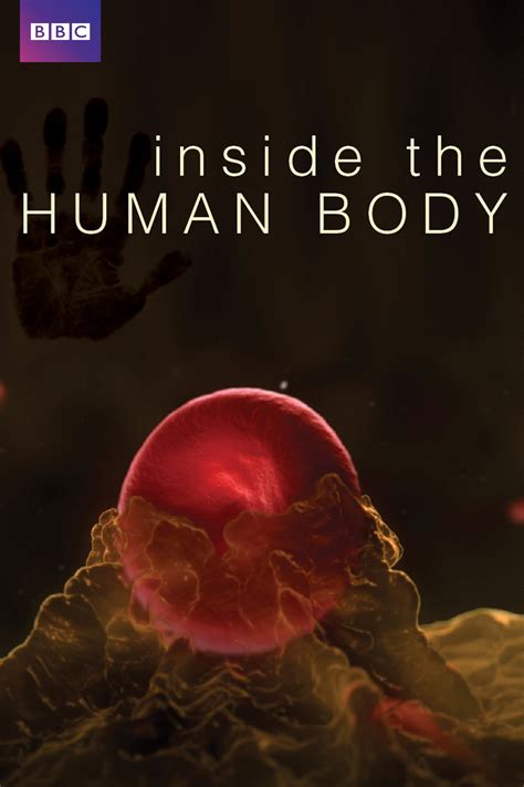Subscene Subtitles For Bbc Inside The Human Body
