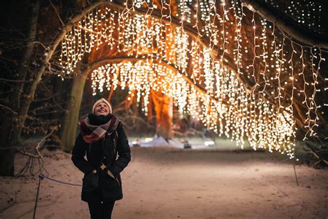 Choose from a wide range of properties which booking.com offers. Christmas Garden in Lichterfelde: Botanischer Garten ...