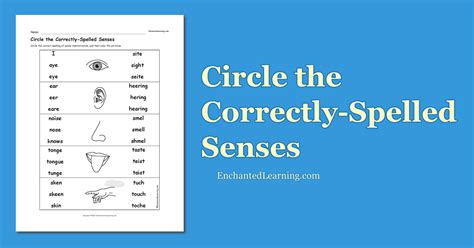 Circle The Correctly Spelled Senses Enchanted Learning