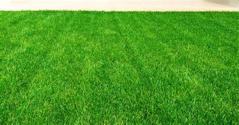 We understand the importance of maintaining a clean, healthy living. How To Dress A Lawn With Topsoil | lovethegarden
