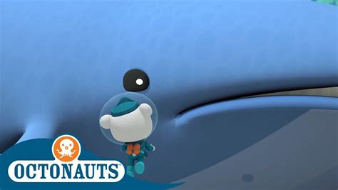 Octonauts The Big And The Small Full Episodes Cartoons For Kids