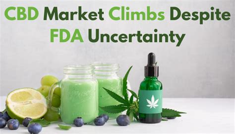 Cbd Market Climbs Despite Fda Uncertainty Food Institute Focus