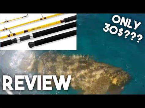 Diawa FT Conventional Rod Review YouTube