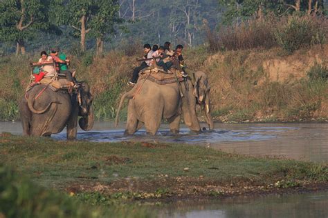 Chitwan Jungle Safari Tour 4 Days Eagle Eye Treks And Expedition