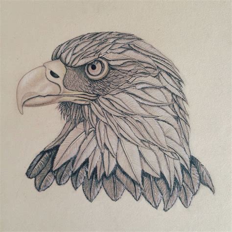 Eagle Sketch Behance