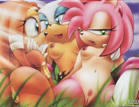 Amy Rose Rouge The Bat Tikal The Echidna Saga Sonic Series Artist Request Highres Anus
