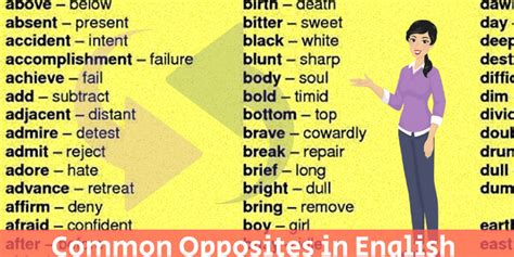 Top 100 Popular Phrases And Slang And Idiomatic Expressions In English
