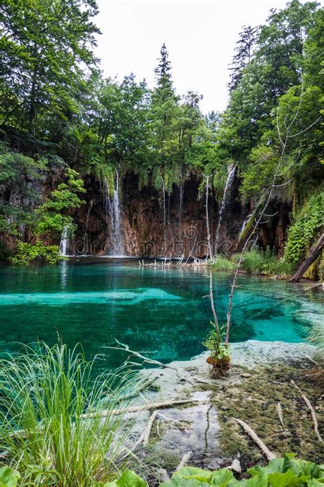 Forest Waterfall Falls Into A Turquoise Crystal Clear Lake Plitvice