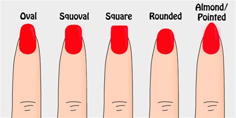 what is the best nail shape for me promakeupme
