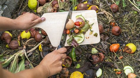 A Simple Beginners Guide To Composting Mashable