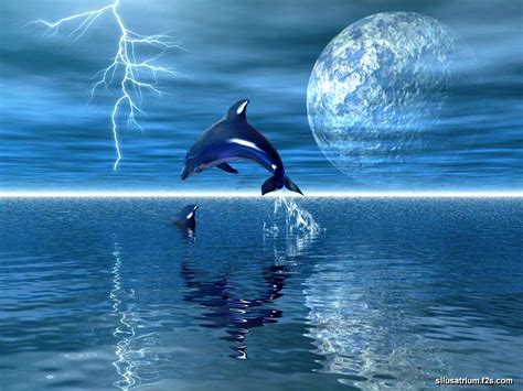 Free Animated Dolphin Screensavers Wallpaper Wallpapersafari