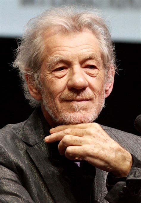 Ian Mckellen Was Offered The Role Of Albus Dumbledore But Declined It Saying He Already Plays