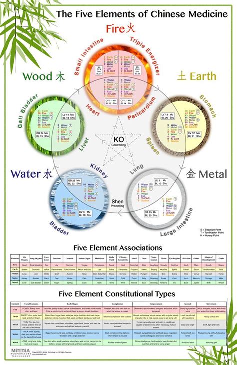 You must have heard about five elements of nature and i am sure you are having some basic understanding about it as well. 5 elements of life - Google Search | 5 ELEMENTS ...