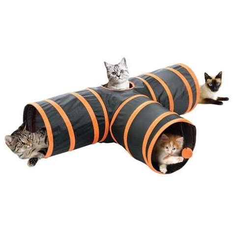 10 Best Cat Toys For Bored Cats To Keep Them Entertained Pets Carter