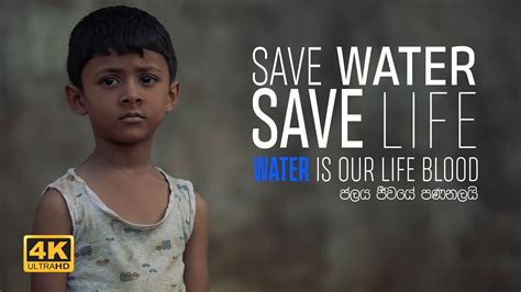 Save Water Save Life Water Is Our Life Blood ජලය ජීවයේ පණනලයි Youtube