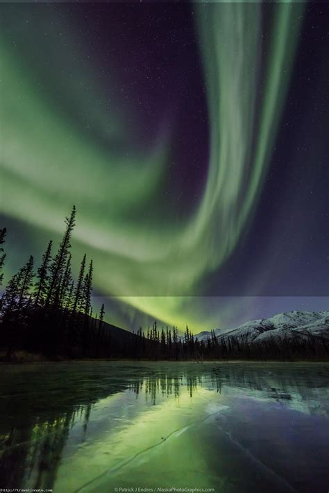 Alaska Northern Lights Overview Travel Innate