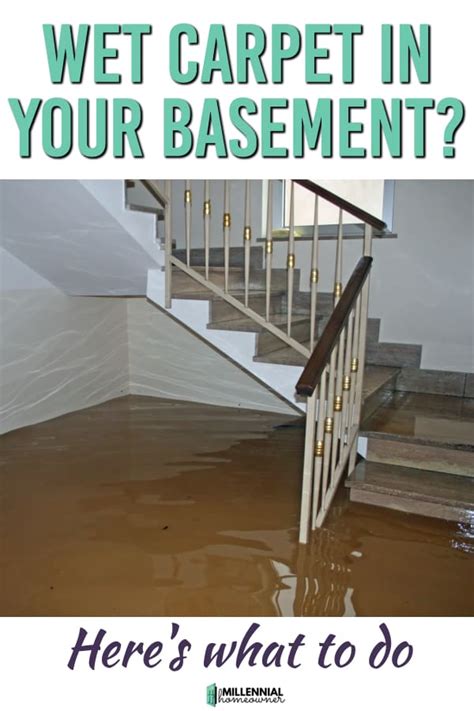 Opt for a polyurethane foam pad, and stay away from a rubber pad. Wet Carpet in Basement? Here's what to do. (March 2021 ...