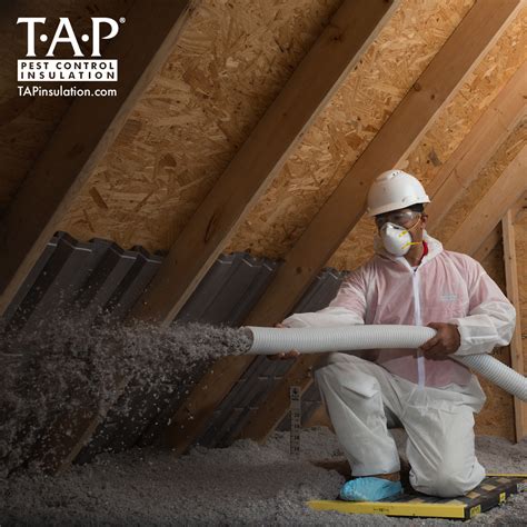 Complete pest control services, pittsburgh. Preparing for an Attic Cap Service with TAP® Pest Control ...