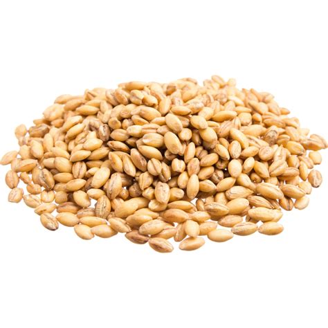 Organic Hulled Barley Onlineorganics