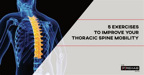 Exercises To Improve Your Thoracic Spine Mobility The Prehab Guys