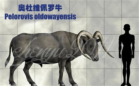 Pelorovis Oldowayensis By Sinammonite On Deviantart