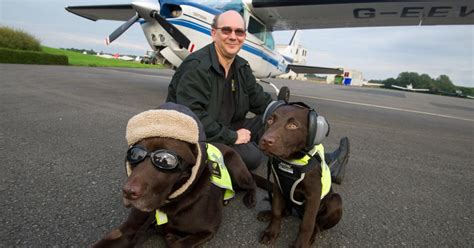 The Uks Only Dog Pilot To Have A Crew Card Gets Puppy Co Pilot