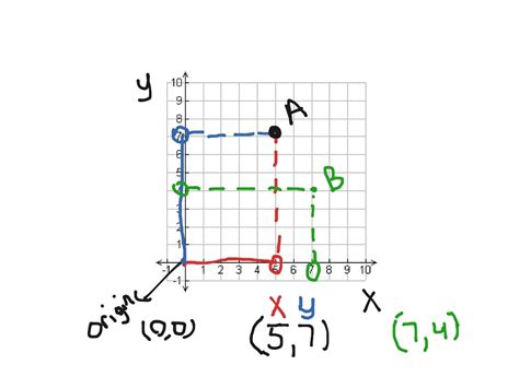 Showme Graphing Coordinates