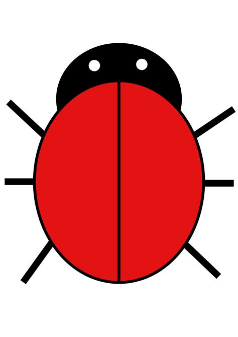 Blank Ladybug Template Templates Example Templates Example