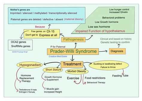 Prader Willi Syndrome Floppy And Hungry Creative Med Doses