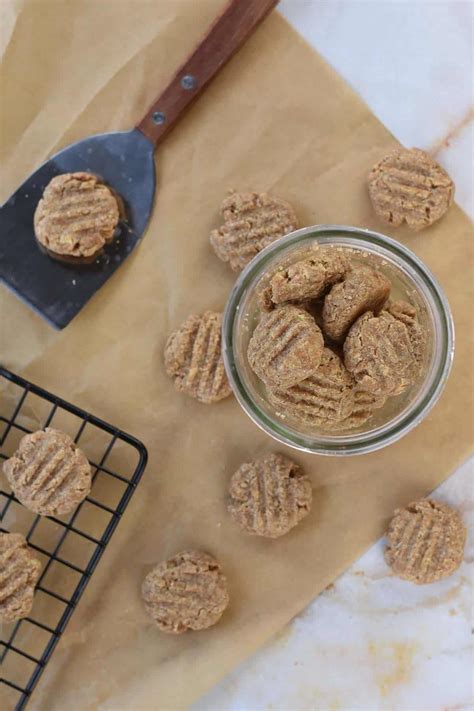 Homemade Cat Treats My Sweet Precision