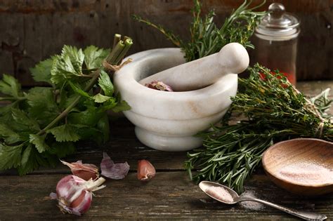 12 Amazing Herbs And Their Uses In Cooking Rhoot