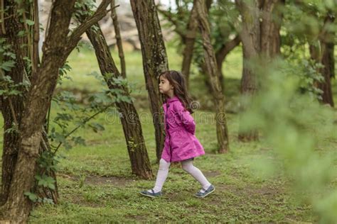 Little Girl Walking In Woods Stock Photo Image Of Seasonal Walking