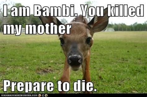 Bambi 2 Bambis Revenge Funny Animal Memes Animal Memes Funny