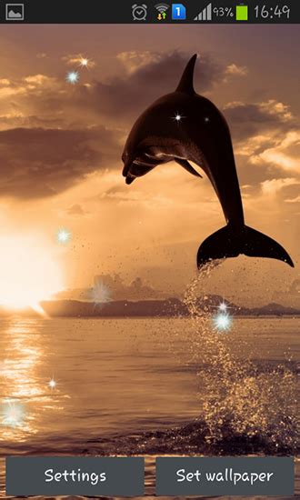 Dolphins Live Wallpaper For Android Dolphins Free Download For Tablet