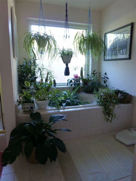 Big bathtubs, on the other hand, inspire a slow, languid buildup to passion. Don't like big bathtubs? Why not convert it to a terrarium ...