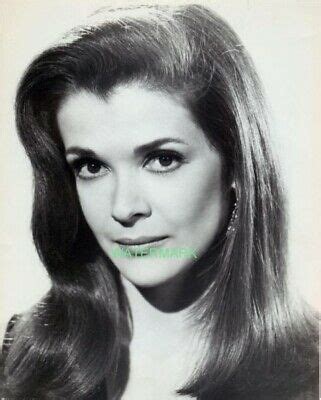 Jessica walter is an american actress. Head Shot Of The Beautiful Jessica Walter in 1966 ...